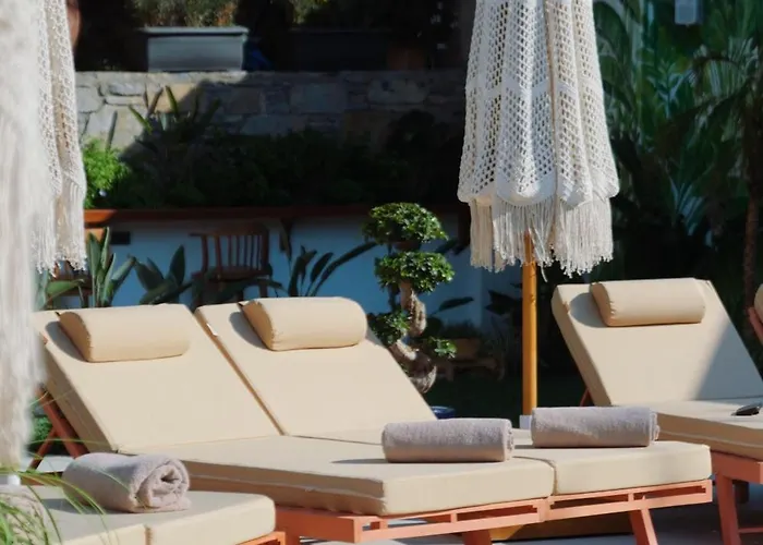 Hotel Taga *